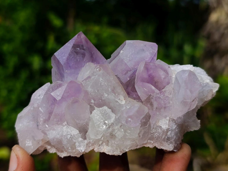 Natural Jacaranda Amethyst Crystals and Clusters x 6 From Mumbwa, Zambia - Toprock Gemstones and Minerals 