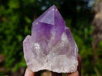 Natural Jacaranda Amethyst Crystals and Clusters x 6 From Mumbwa, Zambia - Toprock Gemstones and Minerals 