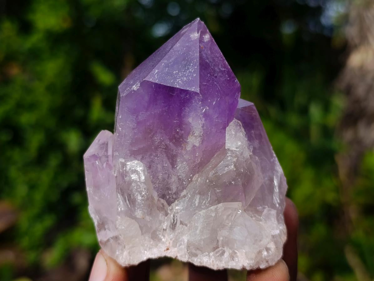 Natural Jacaranda Amethyst Crystals and Clusters x 6 From Mumbwa, Zambia - Toprock Gemstones and Minerals 