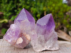 Natural Jacaranda Amethyst Crystals and Clusters x 6 From Mumbwa, Zambia - Toprock Gemstones and Minerals 