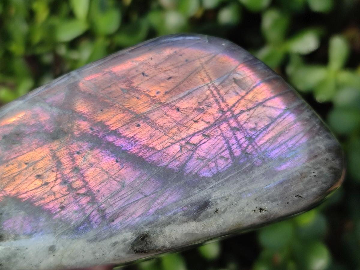 Polished Rare Purple Sunset Flash Labradorite Standing Display Pieces x 3 From Madagascar - Toprock Gemstones and Minerals 