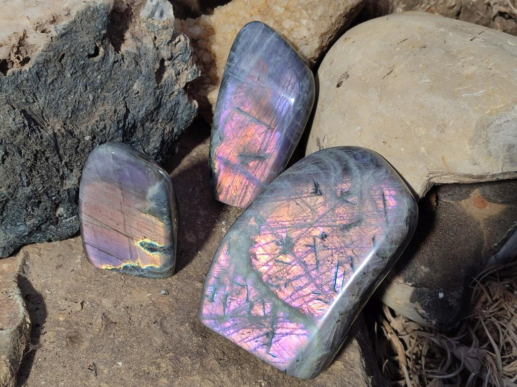 Polished Rare Purple Sunset Flash Labradorite Standing Display Pieces x 3 From Madagascar - Toprock Gemstones and Minerals 