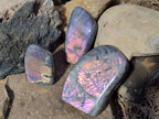 Polished Rare Purple Sunset Flash Labradorite Standing Display Pieces x 3 From Madagascar - Toprock Gemstones and Minerals 