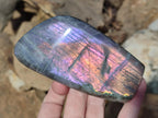 Polished Rare Purple Sunset Flash Labradorite Standing Display Pieces x 3 From Madagascar - Toprock Gemstones and Minerals 