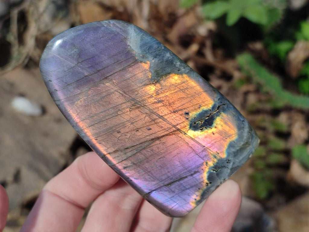 Polished Rare Purple Sunset Flash Labradorite Standing Display Pieces x 3 From Madagascar - Toprock Gemstones and Minerals 