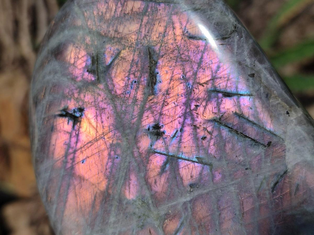Polished Rare Purple Sunset Flash Labradorite Standing Display Pieces x 3 From Madagascar - Toprock Gemstones and Minerals 