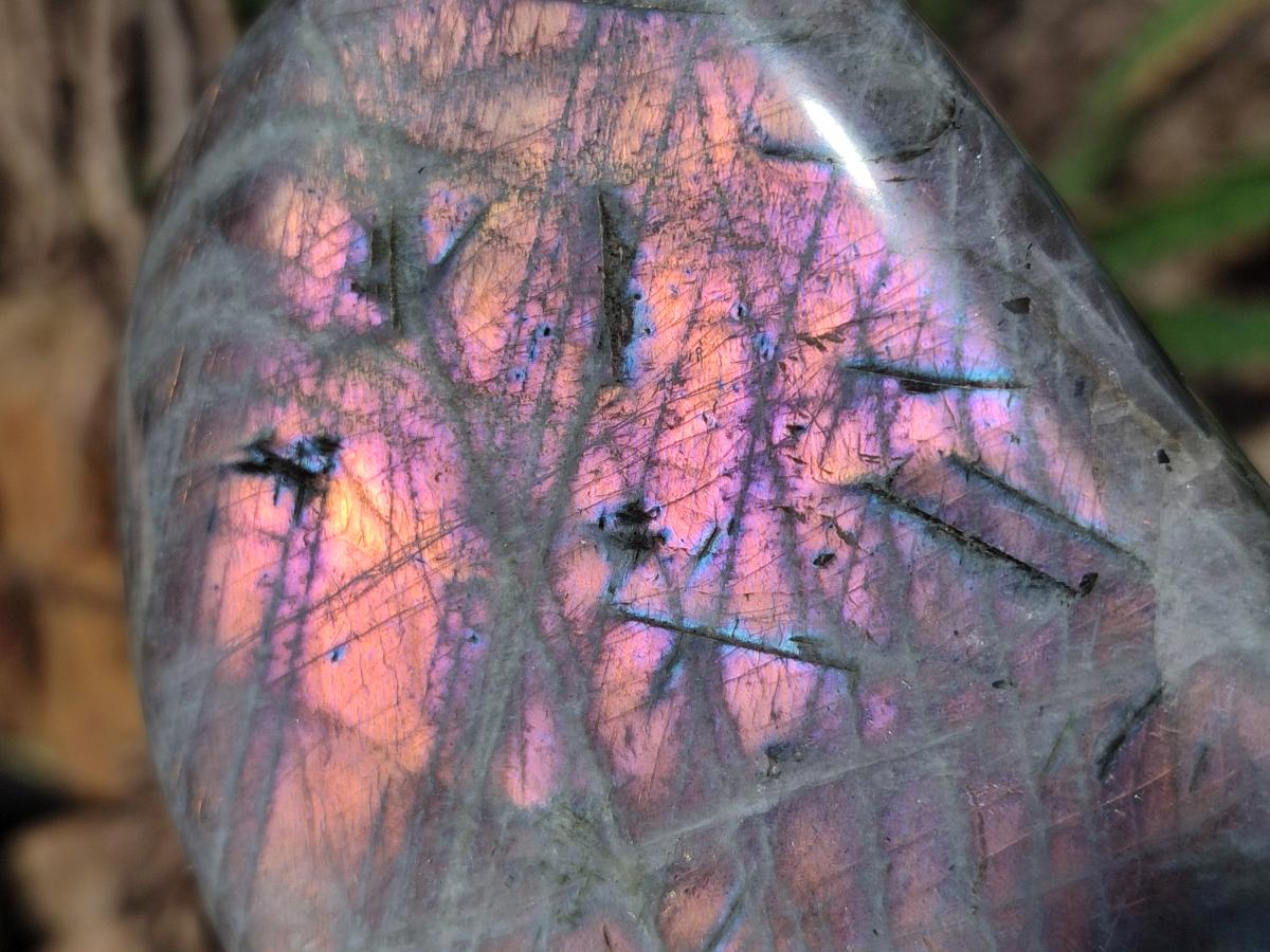 Polished Rare Purple Sunset Flash Labradorite Standing Display Pieces x 3 From Madagascar - Toprock Gemstones and Minerals 