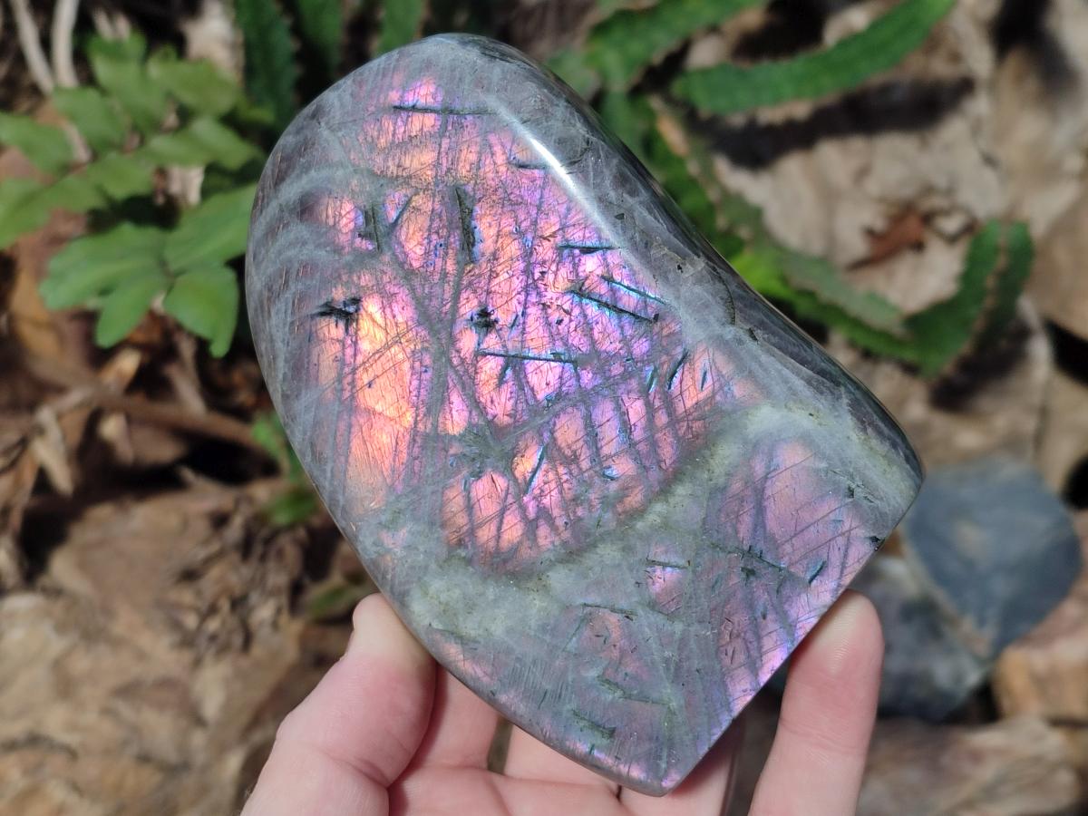 Polished Rare Purple Sunset Flash Labradorite Standing Display Pieces x 3 From Madagascar - Toprock Gemstones and Minerals 