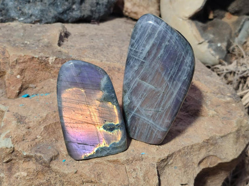Polished Rare Purple Sunset Flash Labradorite Standing Display Pieces x 3 From Madagascar - Toprock Gemstones and Minerals 