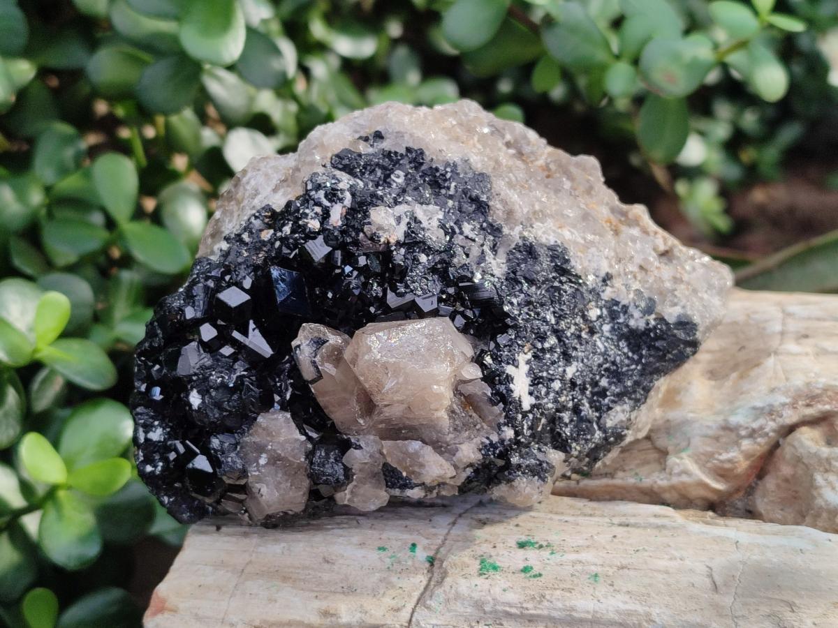 Natural Schorl Black Tourmaline with Feldspar and Quartz x 3 From Erongo, Namibia - Toprock Gemstones and Minerals 