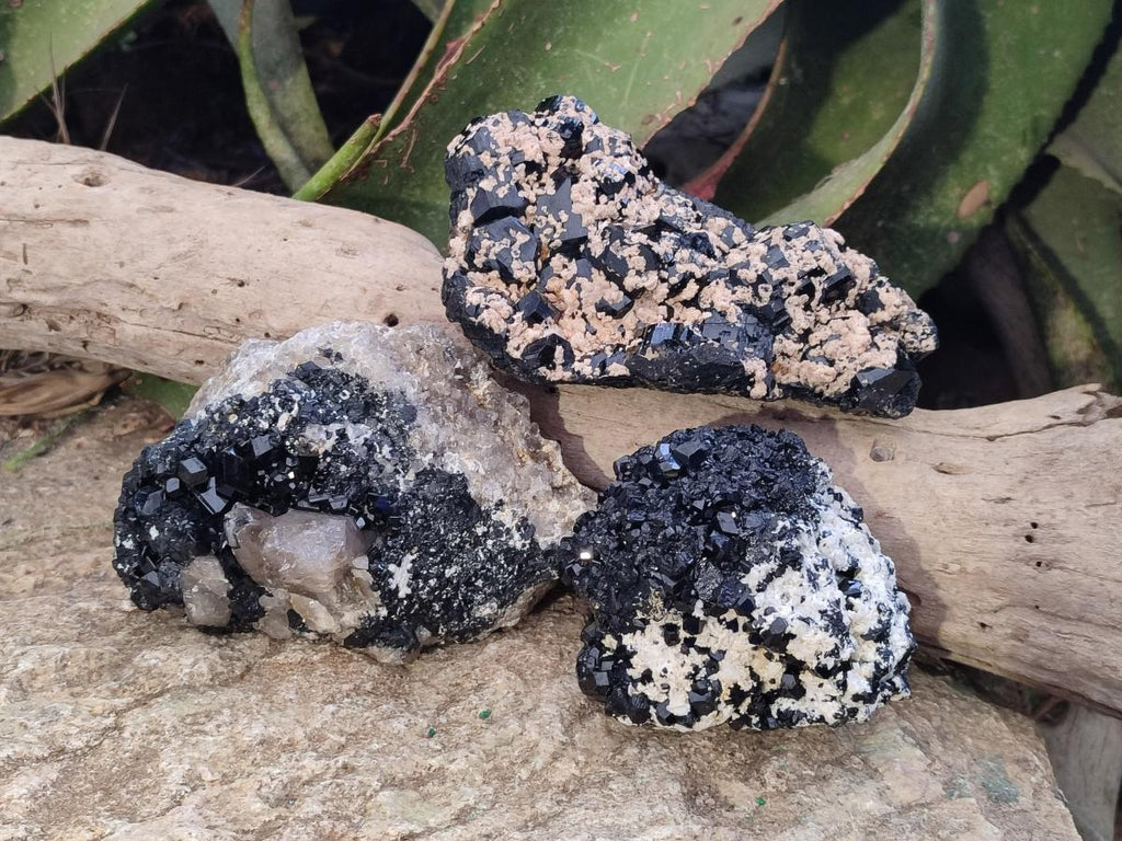 Natural Schorl Black Tourmaline with Feldspar and Quartz x 3 From Erongo, Namibia - Toprock Gemstones and Minerals 