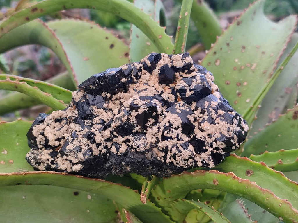 Natural Schorl Black Tourmaline with Feldspar and Quartz x 3 From Erongo, Namibia - Toprock Gemstones and Minerals 