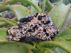 Natural Schorl Black Tourmaline with Feldspar and Quartz x 3 From Erongo, Namibia - Toprock Gemstones and Minerals 