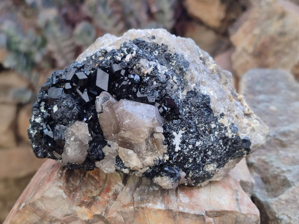 Natural Schorl Black Tourmaline with Feldspar and Quartz x 3 From Erongo, Namibia - Toprock Gemstones and Minerals 