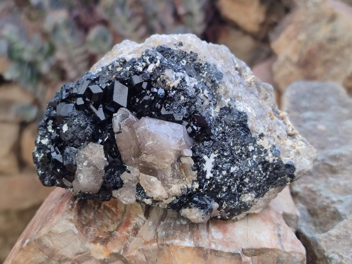Natural Schorl Black Tourmaline with Feldspar and Quartz x 3 From Erongo, Namibia - Toprock Gemstones and Minerals 
