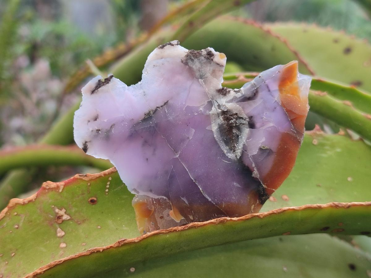 Natural Super Rare Cobbed Purple Chalcedony Pieces x 41 From Nosy Verdaka, Madagascar - Toprock Gemstones and Minerals 