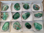Polished Chrysoprase Mtorolite Chrysoprase Free Forms x 6 From Mutorashanga, Zimbabwe - Toprock Gemstones and Minerals 