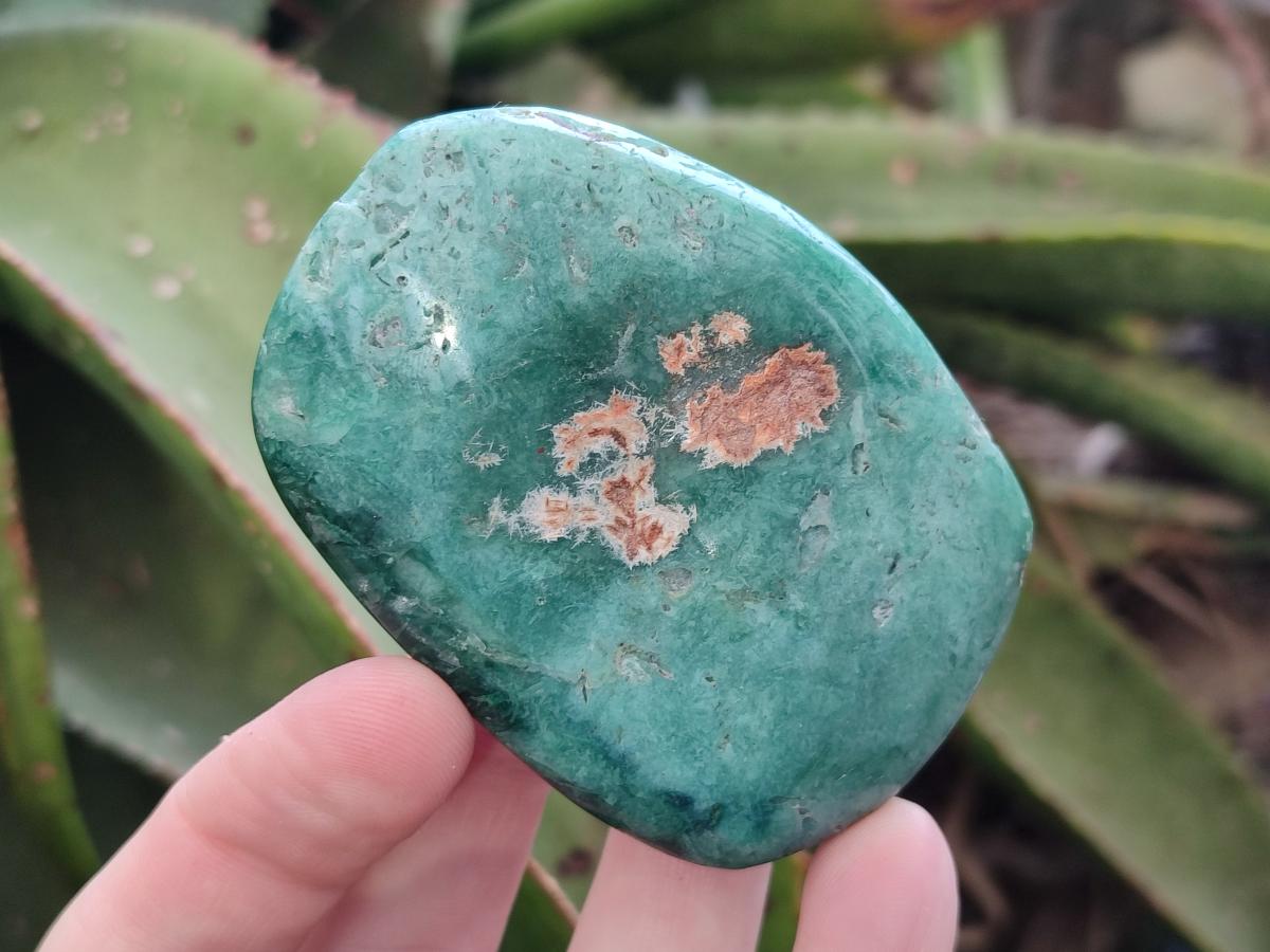 Polished Chrysoprase Mtorolite Chrysoprase Free Forms x 6 From Mutorashanga, Zimbabwe - Toprock Gemstones and Minerals 