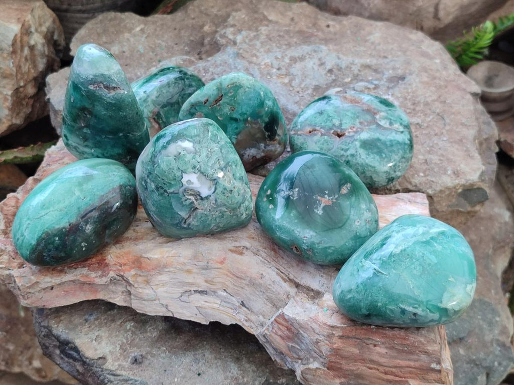 Polished Chrysoprase Mtorolite Chrysoprase Free Forms x 6 From Mutorashanga, Zimbabwe - Toprock Gemstones and Minerals 