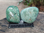 Polished Chrysoprase Mtorolite Chrysoprase Free Forms x 6 From Mutorashanga, Zimbabwe - Toprock Gemstones and Minerals 
