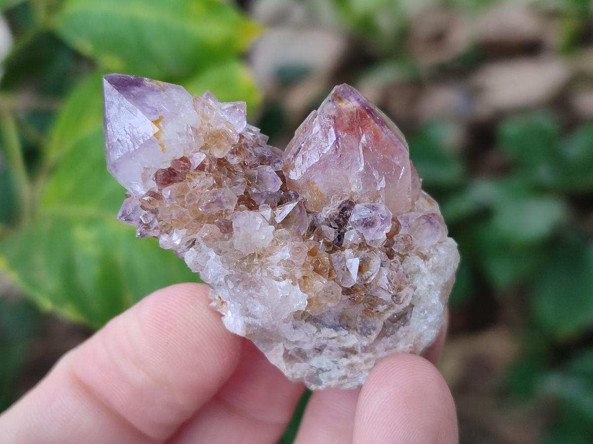 Natural Sunburst Spirit Amethyst Clusters and Crystals x 35 From Boekenhouthoek, South Africa - Toprock Gemstones and Minerals 