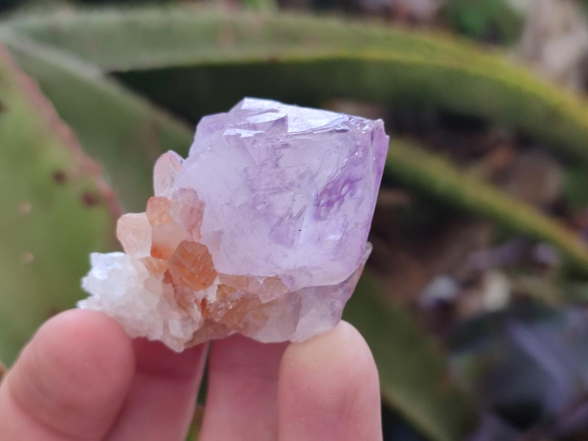 Natural Sunburst Spirit Amethyst Clusters and Crystals x 35 From Boekenhouthoek, South Africa - Toprock Gemstones and Minerals 