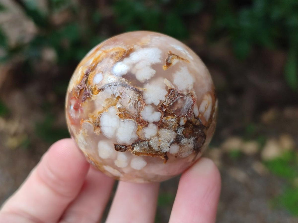 Polished Flower Agate Spheres x 12 From Antsahalova, Madagascar - Toprock Gemstones and Minerals 