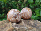Polished Flower Agate Spheres x 12 From Antsahalova, Madagascar - Toprock Gemstones and Minerals 