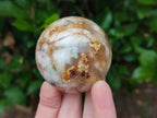 Polished Flower Agate Spheres x 12 From Antsahalova, Madagascar - Toprock Gemstones and Minerals 