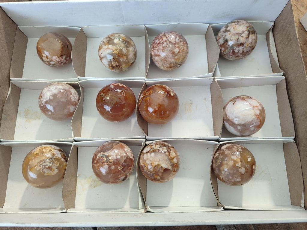 Polished Flower Agate Spheres x 12 From Antsahalova, Madagascar - Toprock Gemstones and Minerals 