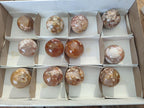 Polished Flower Agate Spheres x 12 From Antsahalova, Madagascar - Toprock Gemstones and Minerals 