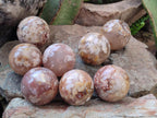 Polished Flower Agate Spheres x 12 From Antsahalova, Madagascar - Toprock Gemstones and Minerals 