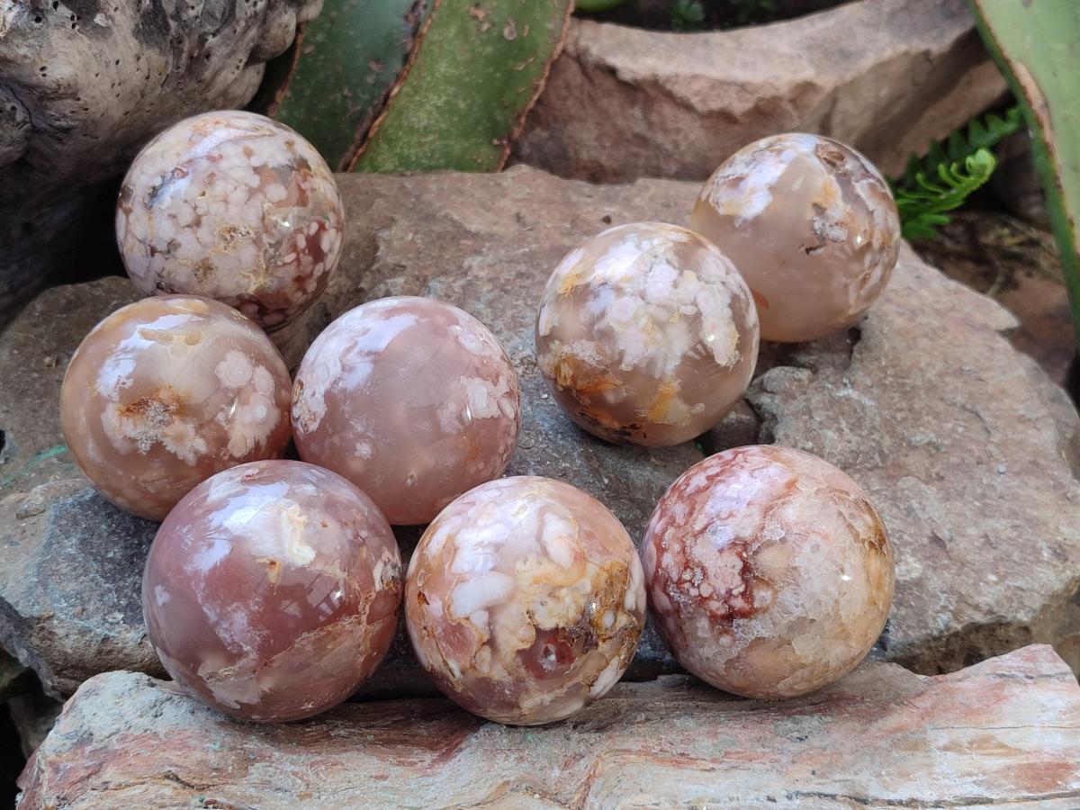 Polished Flower Agate Spheres x 12 From Antsahalova, Madagascar - Toprock Gemstones and Minerals 