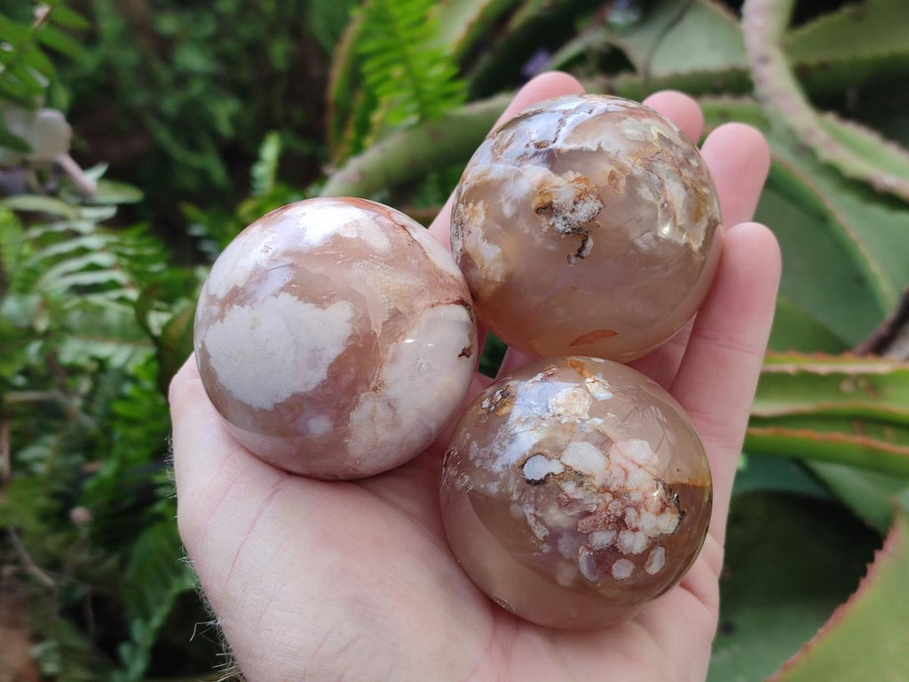 Polished Flower Agate Spheres x 12 From Antsahalova, Madagascar - Toprock Gemstones and Minerals 