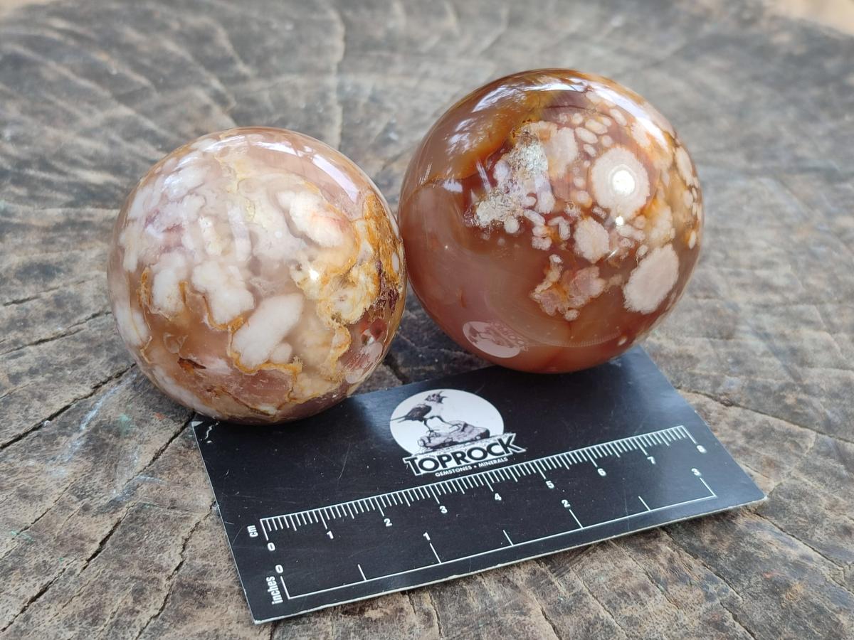 Polished Flower Agate Spheres x 12 From Antsahalova, Madagascar - Toprock Gemstones and Minerals 