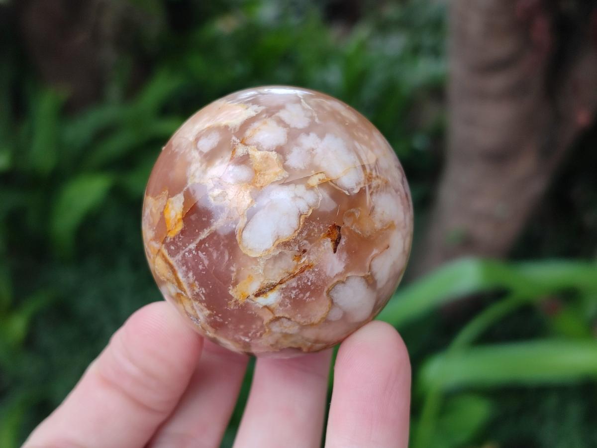 Polished Flower Agate Spheres x 12 From Antsahalova, Madagascar - Toprock Gemstones and Minerals 
