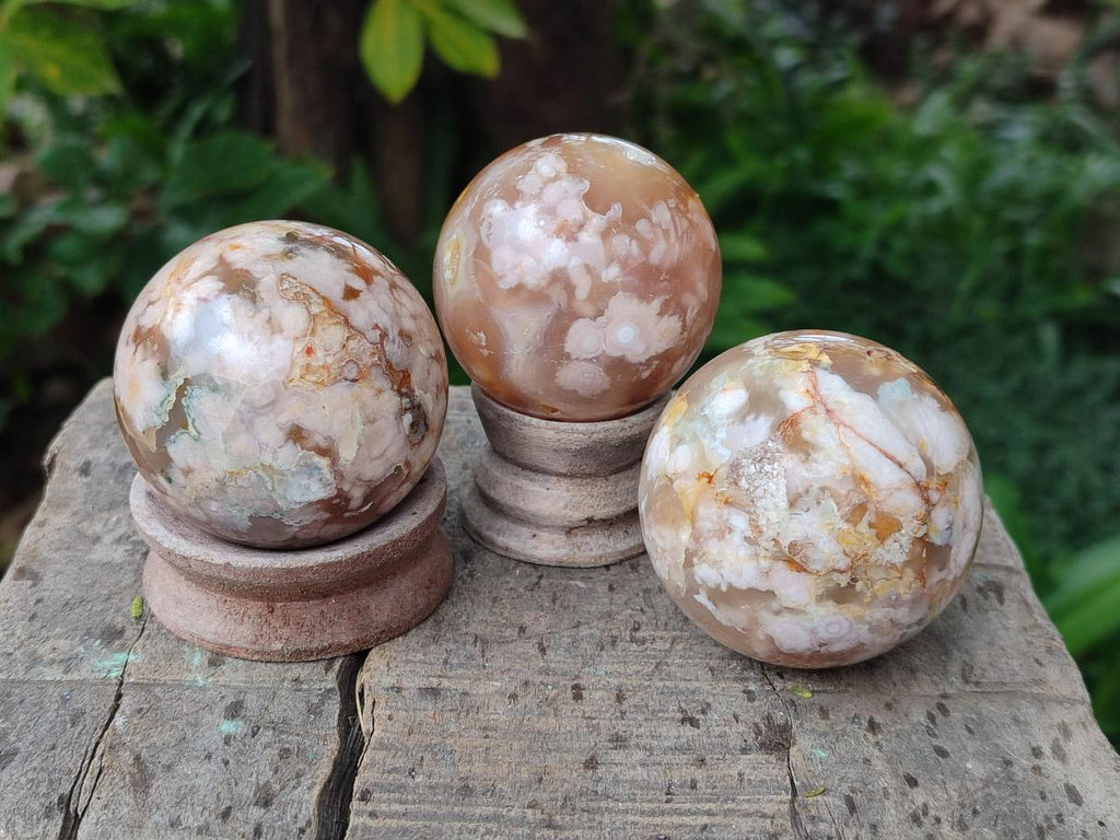 Polished Flower Agate Spheres x 12 From Antsahalova, Madagascar - Toprock Gemstones and Minerals 