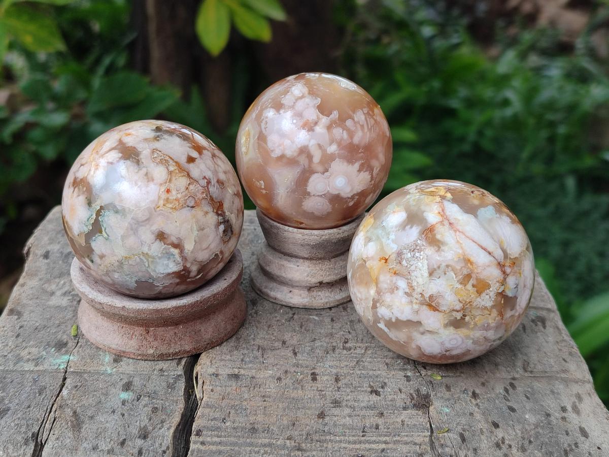 Polished Flower Agate Spheres x 12 From Antsahalova, Madagascar - Toprock Gemstones and Minerals 