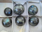 Polished Labradorite Spheres x 6 From Madagascar - Toprock Gemstones and Minerals 