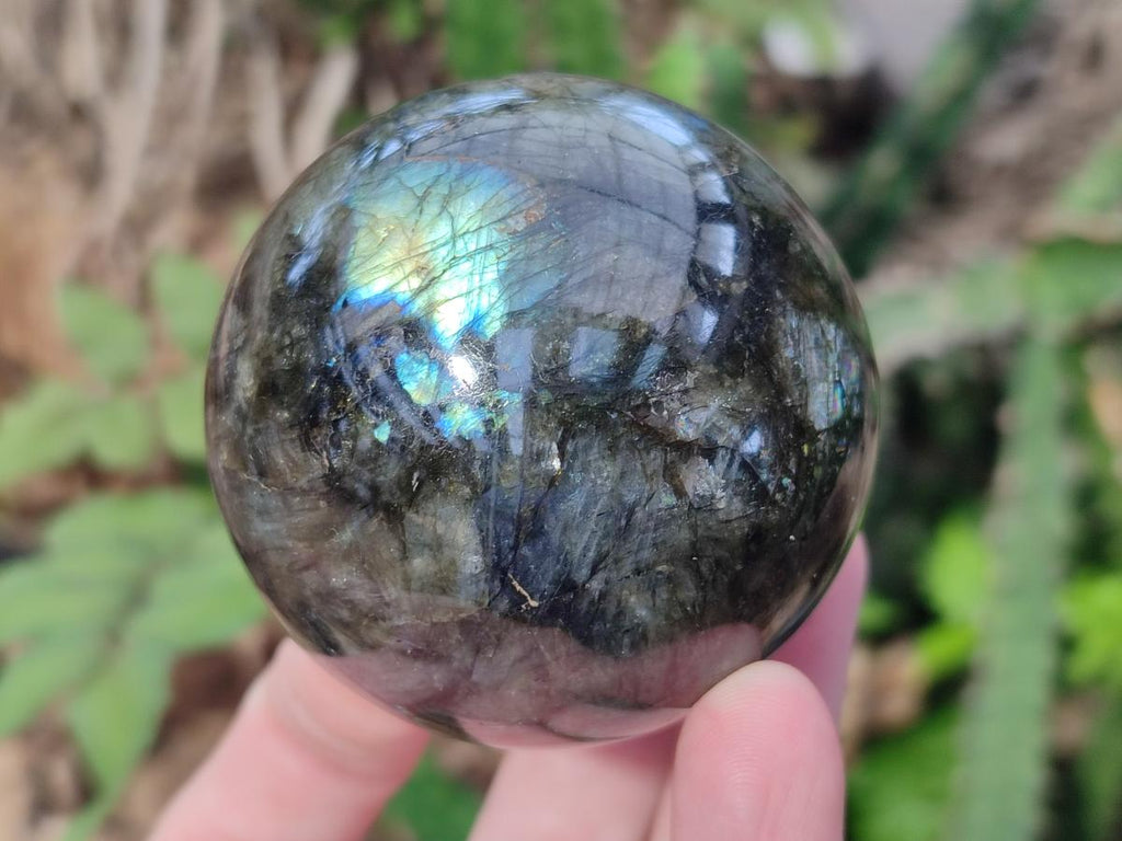 Polished Labradorite Spheres x 6 From Madagascar - Toprock Gemstones and Minerals 