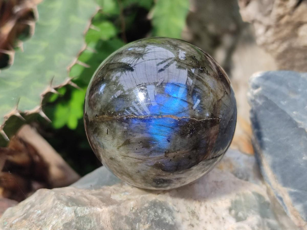 Polished Labradorite Spheres x 6 From Madagascar - Toprock Gemstones and Minerals 