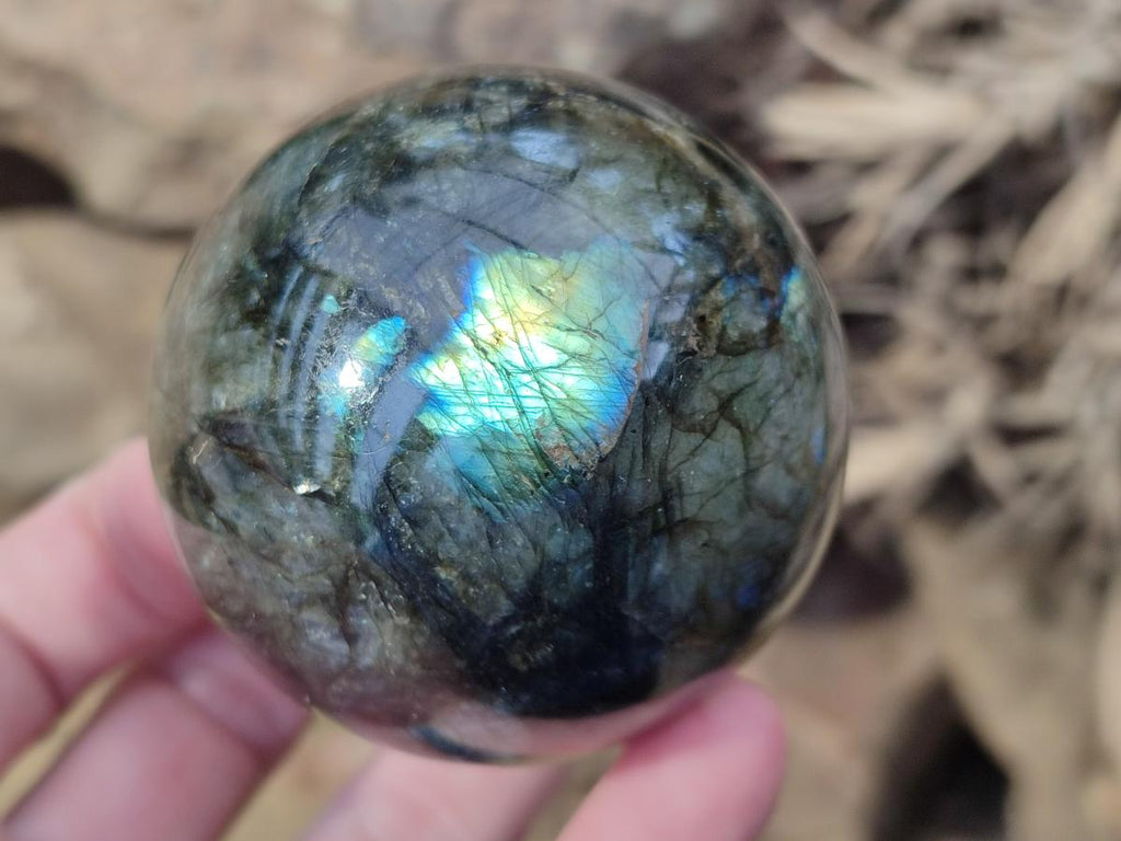 Polished Labradorite Spheres x 6 From Madagascar - Toprock Gemstones and Minerals 