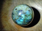 Polished Labradorite Spheres x 6 From Madagascar - Toprock Gemstones and Minerals 