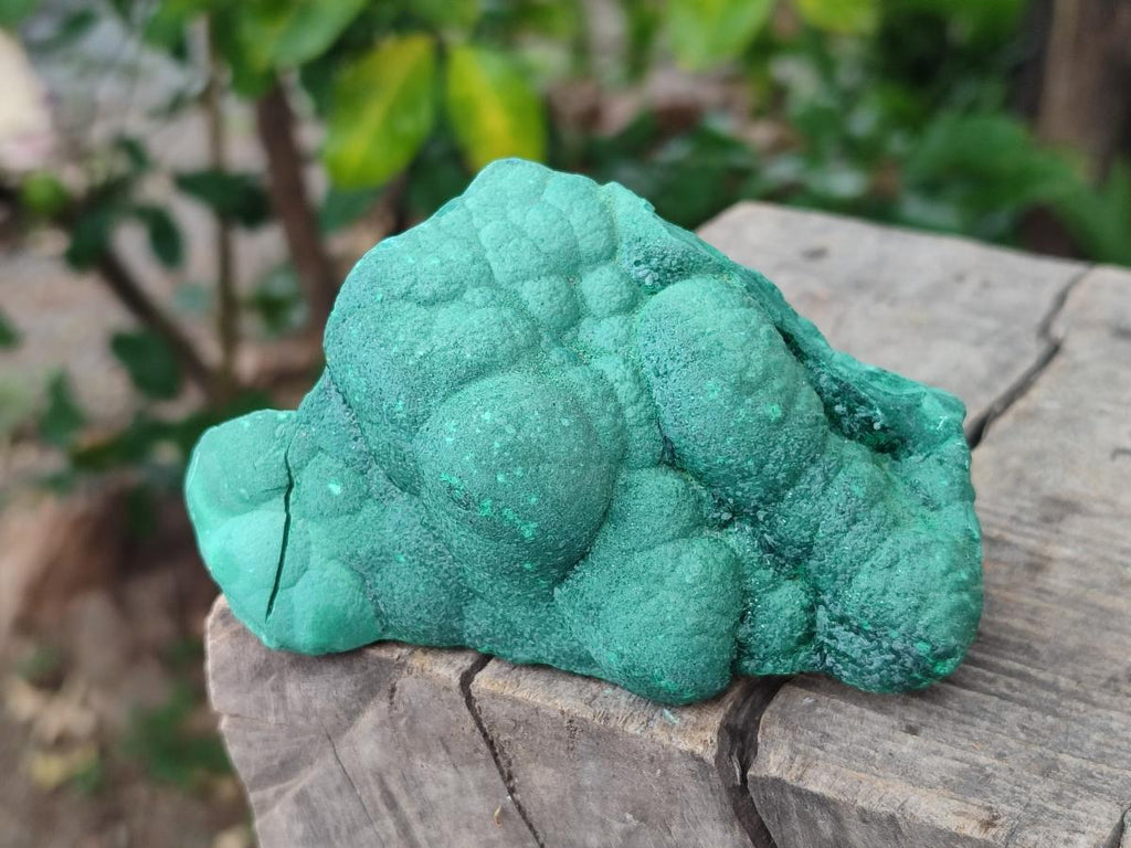 Natural Botryoidal Malachite Specimens x 4 From Congo - Toprock Gemstones and Minerals 