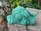 Natural Botryoidal Malachite Specimens x 4 From Congo - Toprock Gemstones and Minerals 