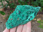 Natural Botryoidal Malachite Specimens x 4 From Congo - Toprock Gemstones and Minerals 