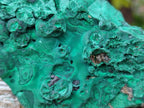 Natural Botryoidal Malachite Specimens x 4 From Congo - Toprock Gemstones and Minerals 