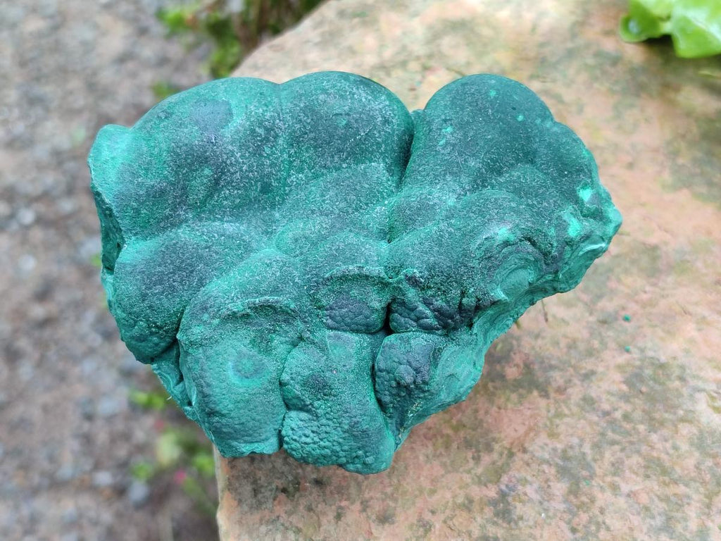 Natural Botryoidal Malachite Specimens x 4 From Congo - Toprock Gemstones and Minerals 