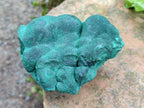 Natural Botryoidal Malachite Specimens x 4 From Congo - Toprock Gemstones and Minerals 