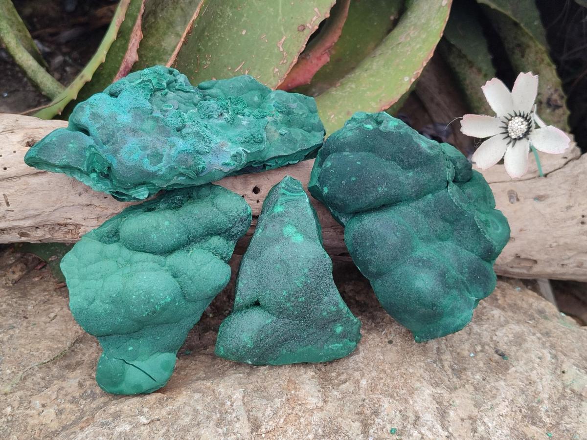 Natural Botryoidal Malachite Specimens x 4 From Congo - Toprock Gemstones and Minerals 